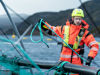 Cermaq BB2021 11 1