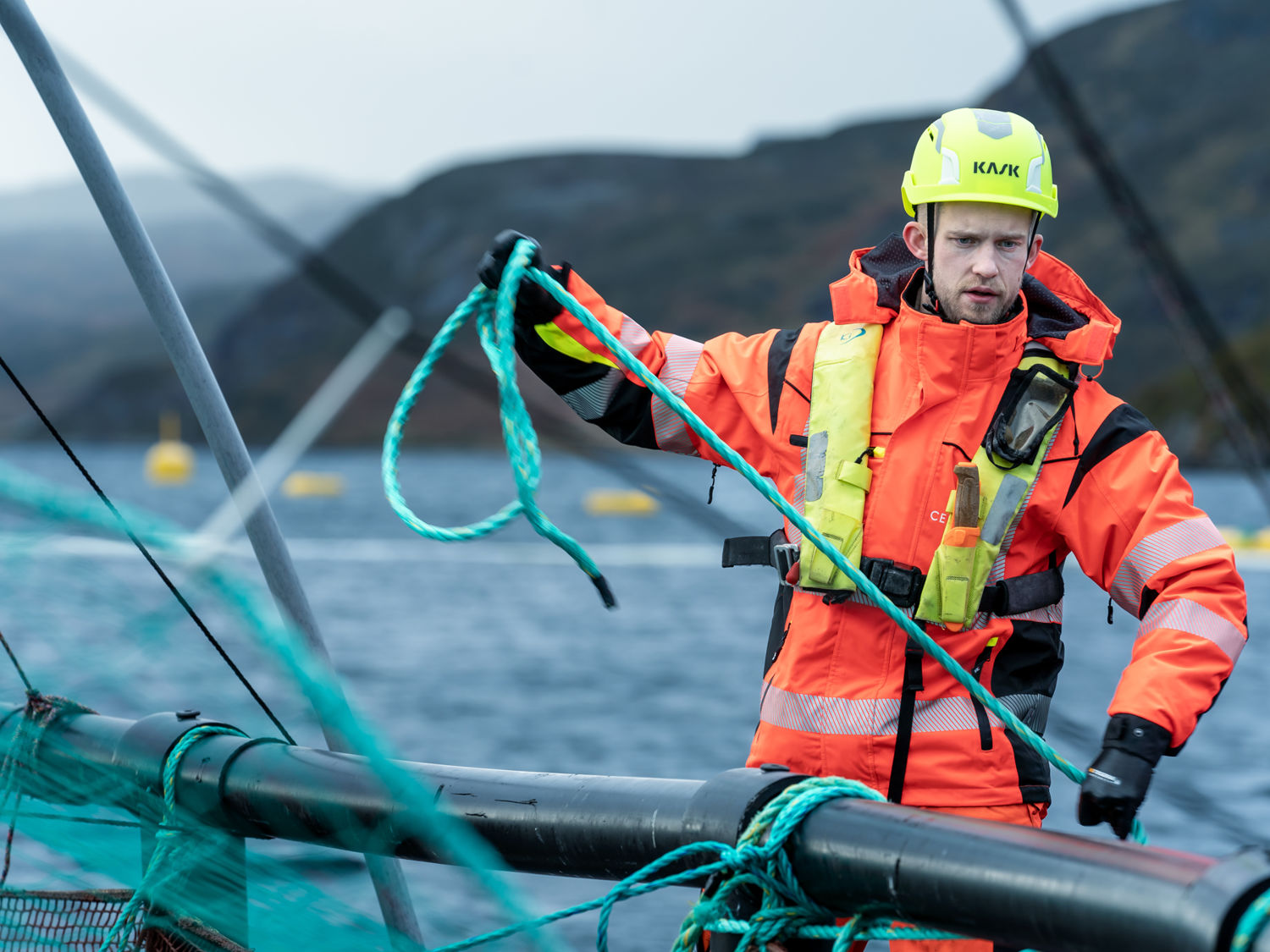 Cermaq BB2021 11 1