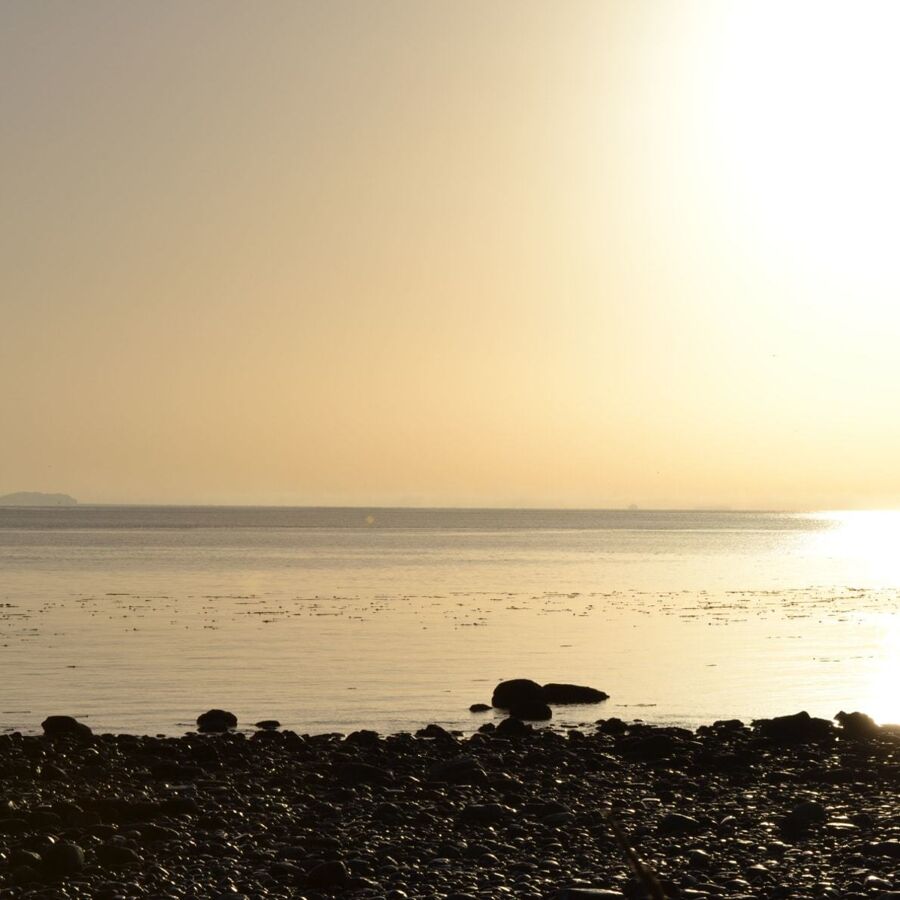 Antibiotikaresistens kjenner ikke landegrenser