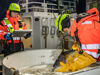 I arbeid lusetelling store lerresfjord