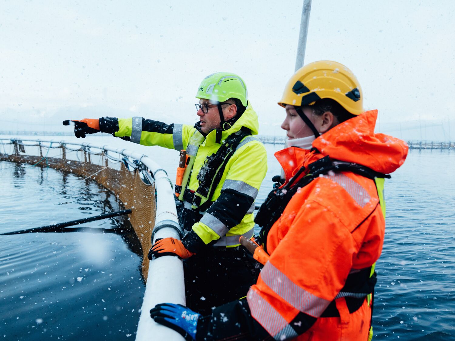 Cermaq True Arctic Hi Res 04052