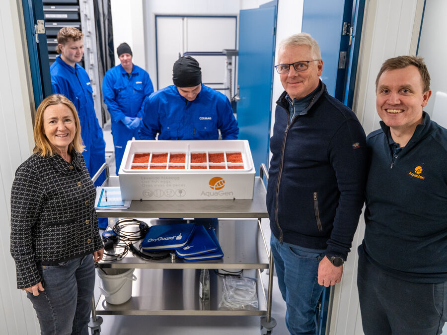 20251204 152634 A4 00965