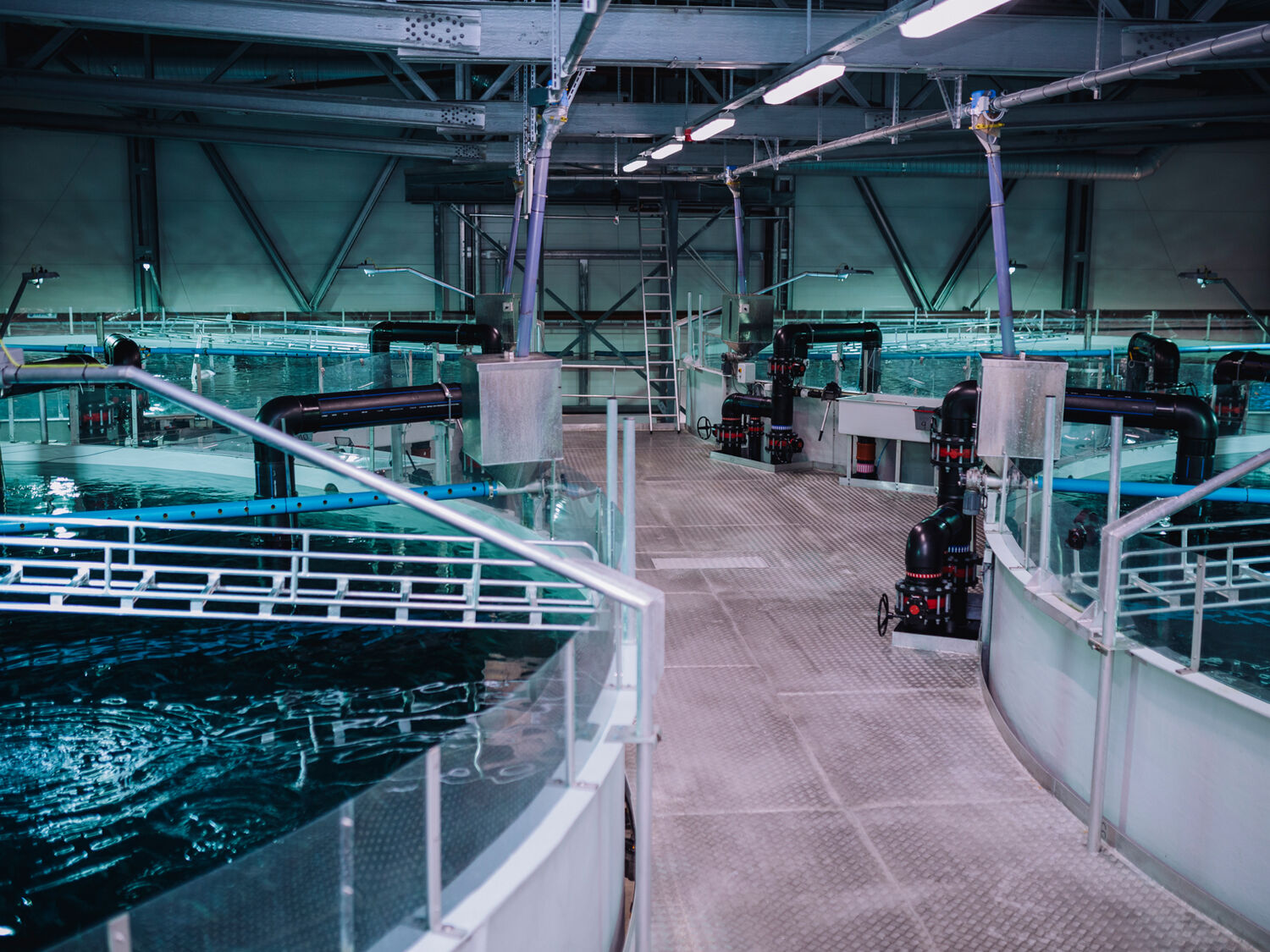 CERMAQ Forsan Fotograf Karoline OA Pettersen63