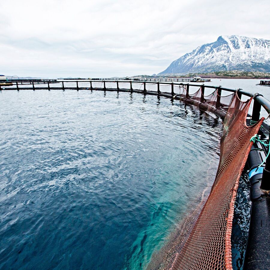 Mjtts1mw2tjvrluvyehr