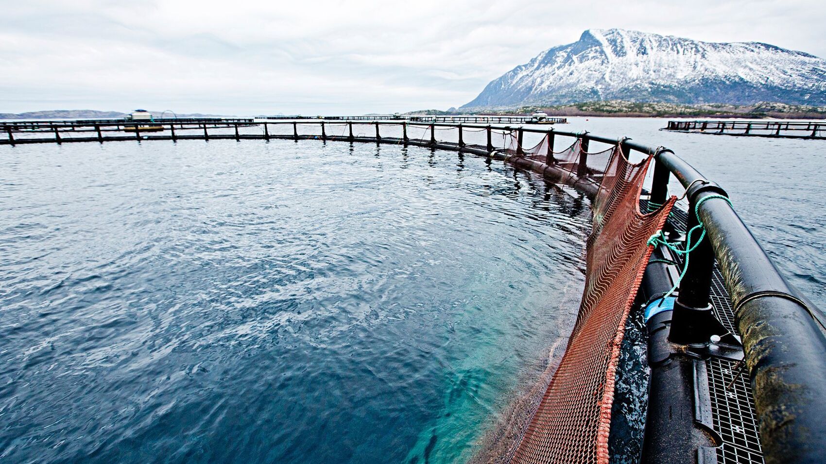 Mjtts1mw2tjvrluvyehr