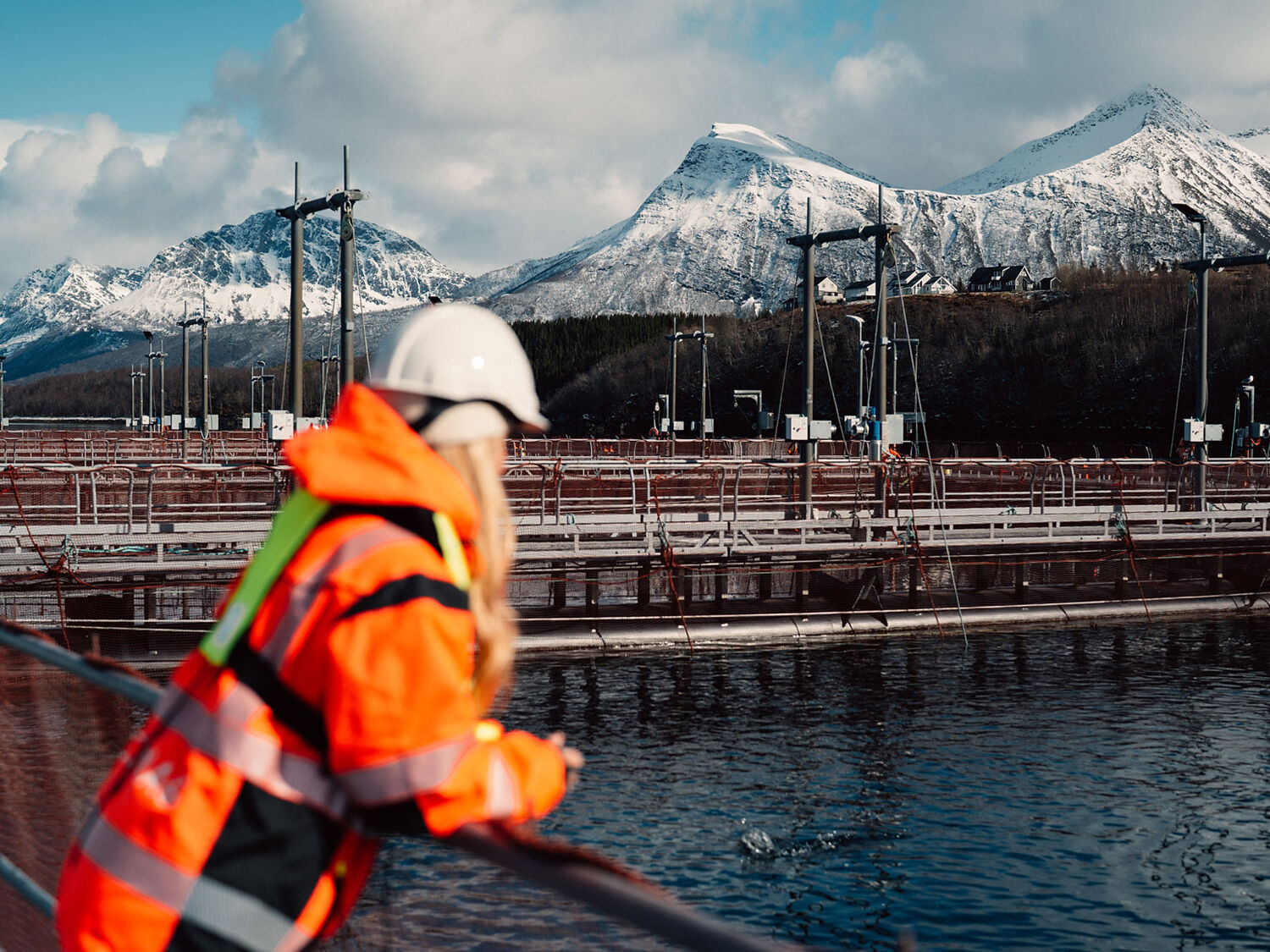 Cermaq True Arctic Hi Res 00320