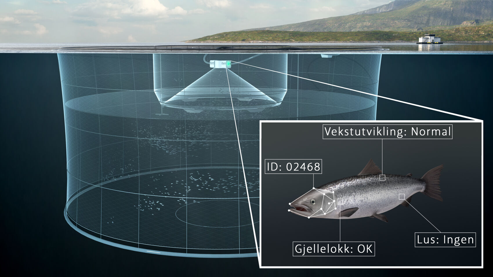 Skisse av iFarm-konseptet og hva sensoren registrerer når fisken svømmer gjennom