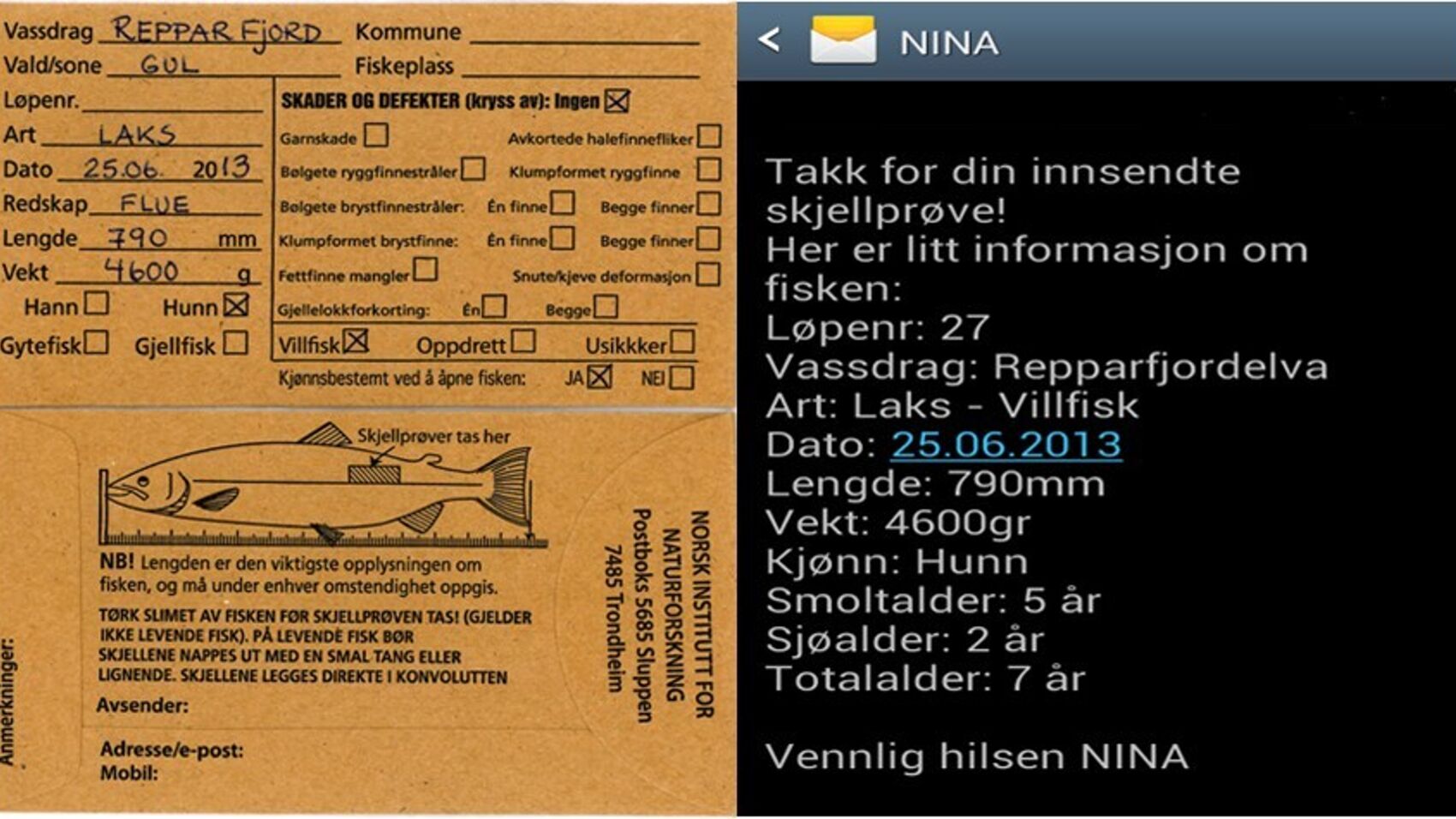 Annonse overvåking 2026