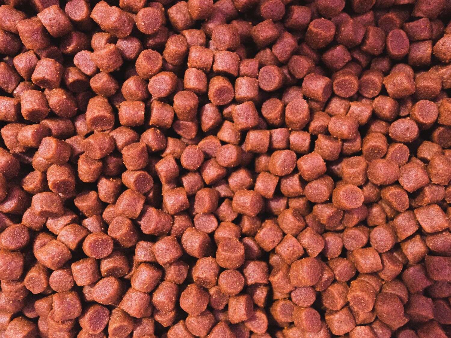 Laksen spiser pelletert fôr