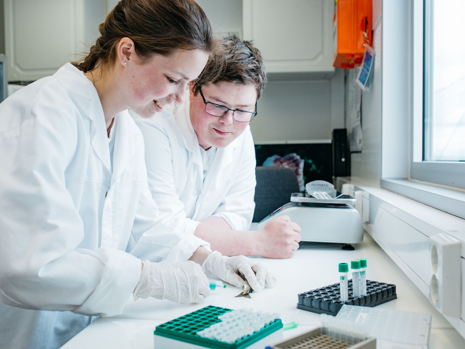 To kollegaer står i et laboratorium og studerer prøver
