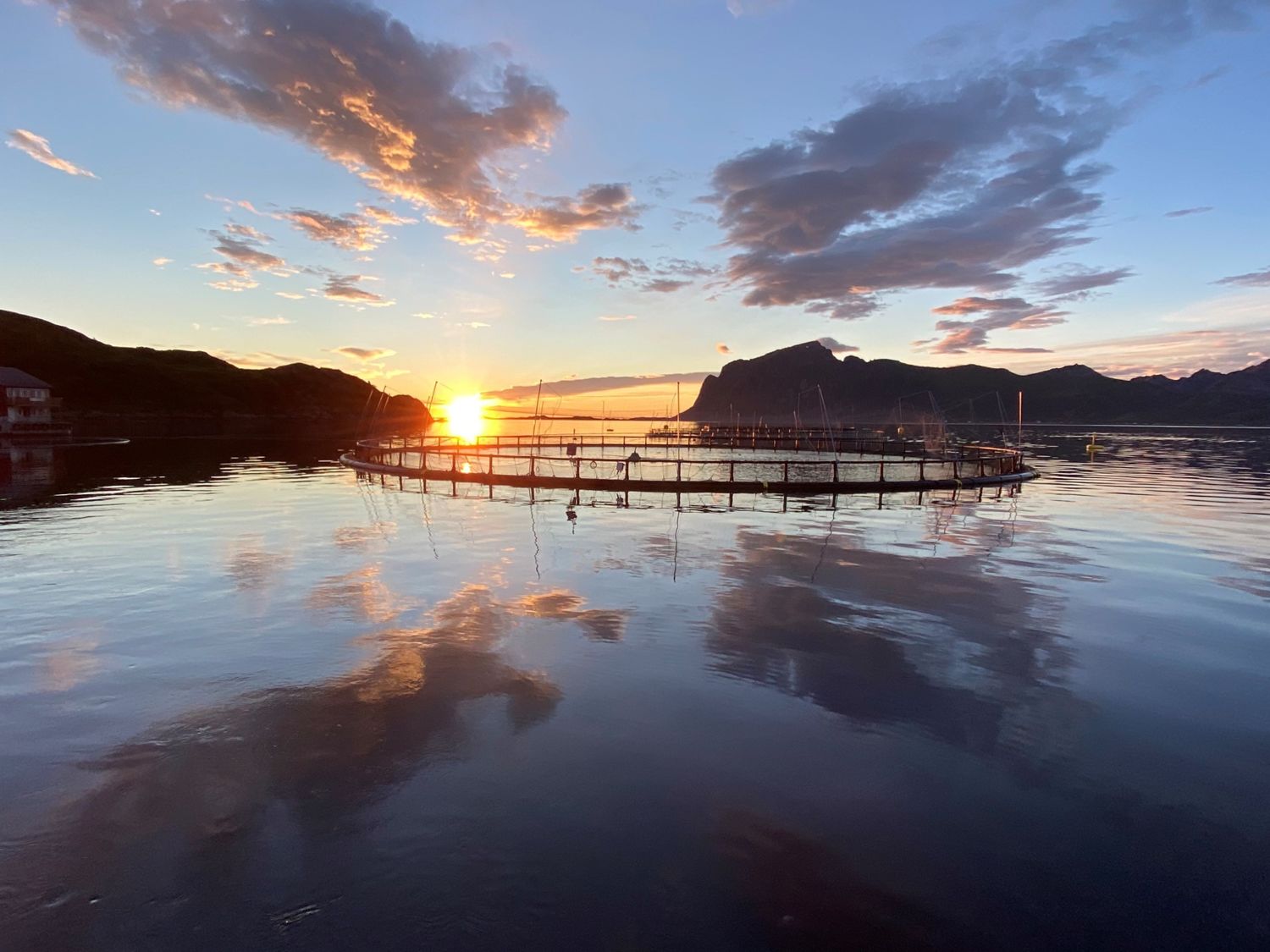 Børøya