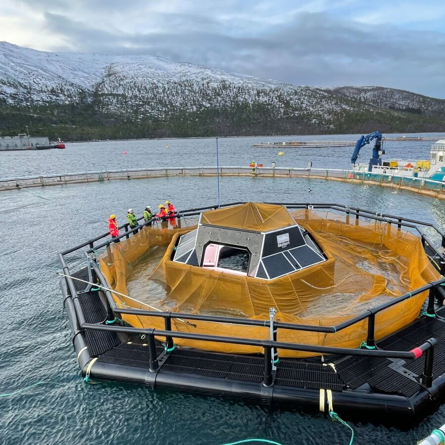 iFarm oppsett i merde på Hellarvika i Steigen