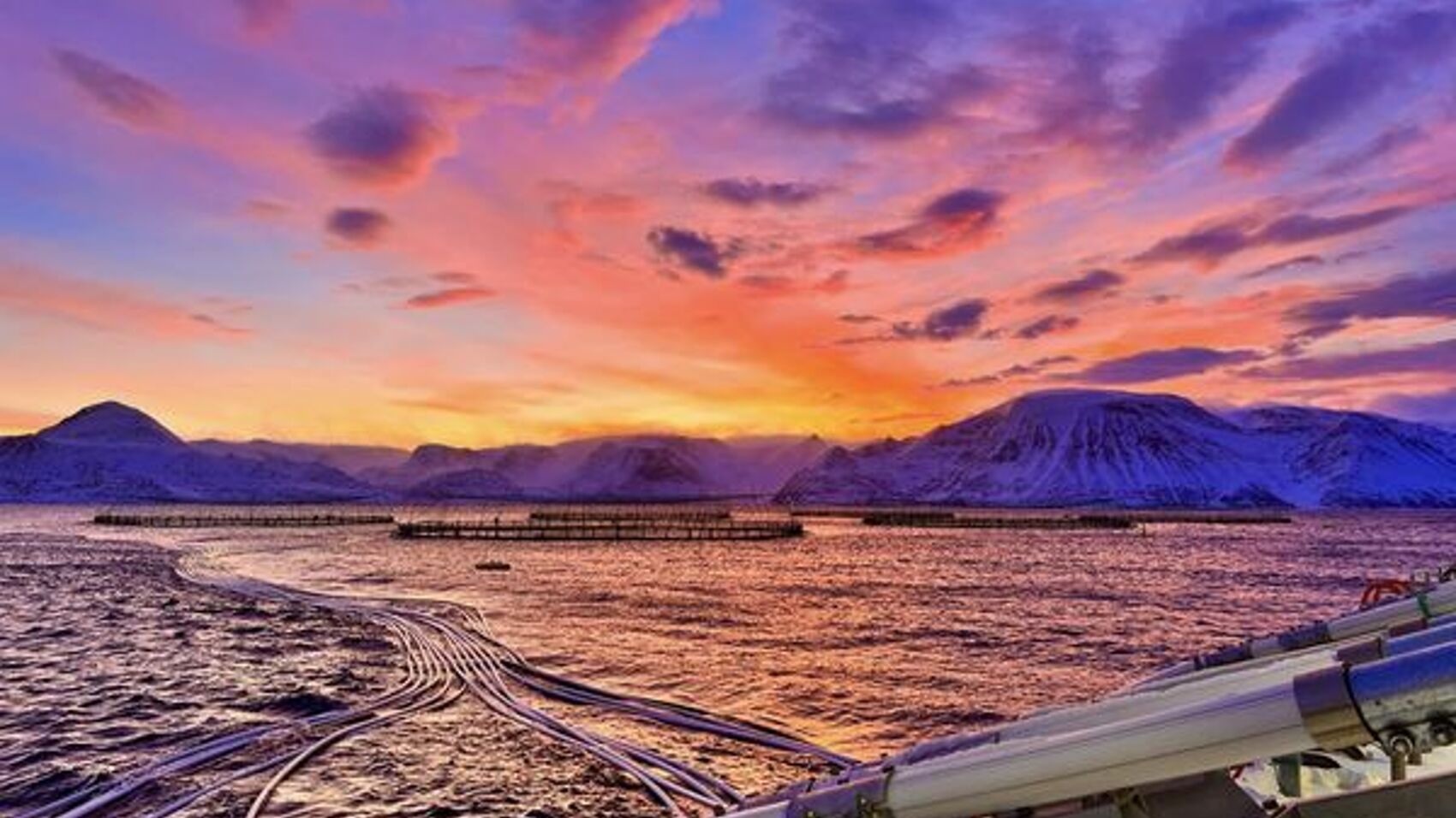 Hamnefjord 2