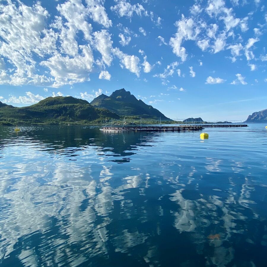 Langøyhovden2