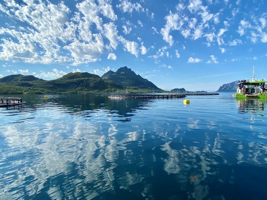 Langøyhovden2