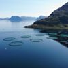 Bilde fra luften av sjølokaliteten Slettnes i Finnmark