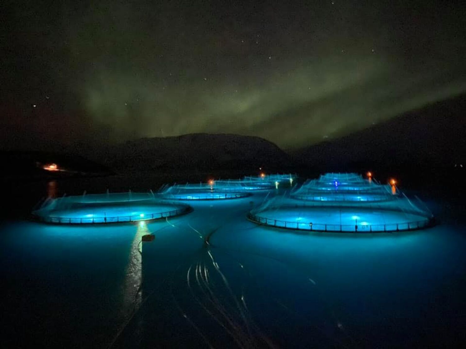 Sjølokaliteten Store Lerresfjord, om kvelden, med lys i merdene og nordlys i bakgrunnen