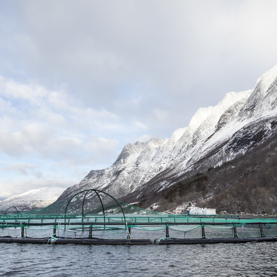 Bilde av sjø-lokaliteten Ånderbakk