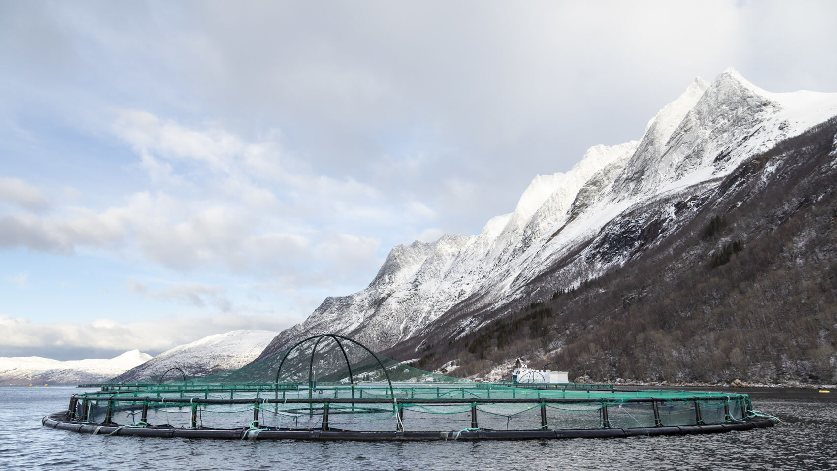 Bilde av sjø-lokaliteten Ånderbakk