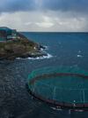 Arctic Salmon Center, med en av merdene på sjøanlegget Horsvågen i forgrunnen