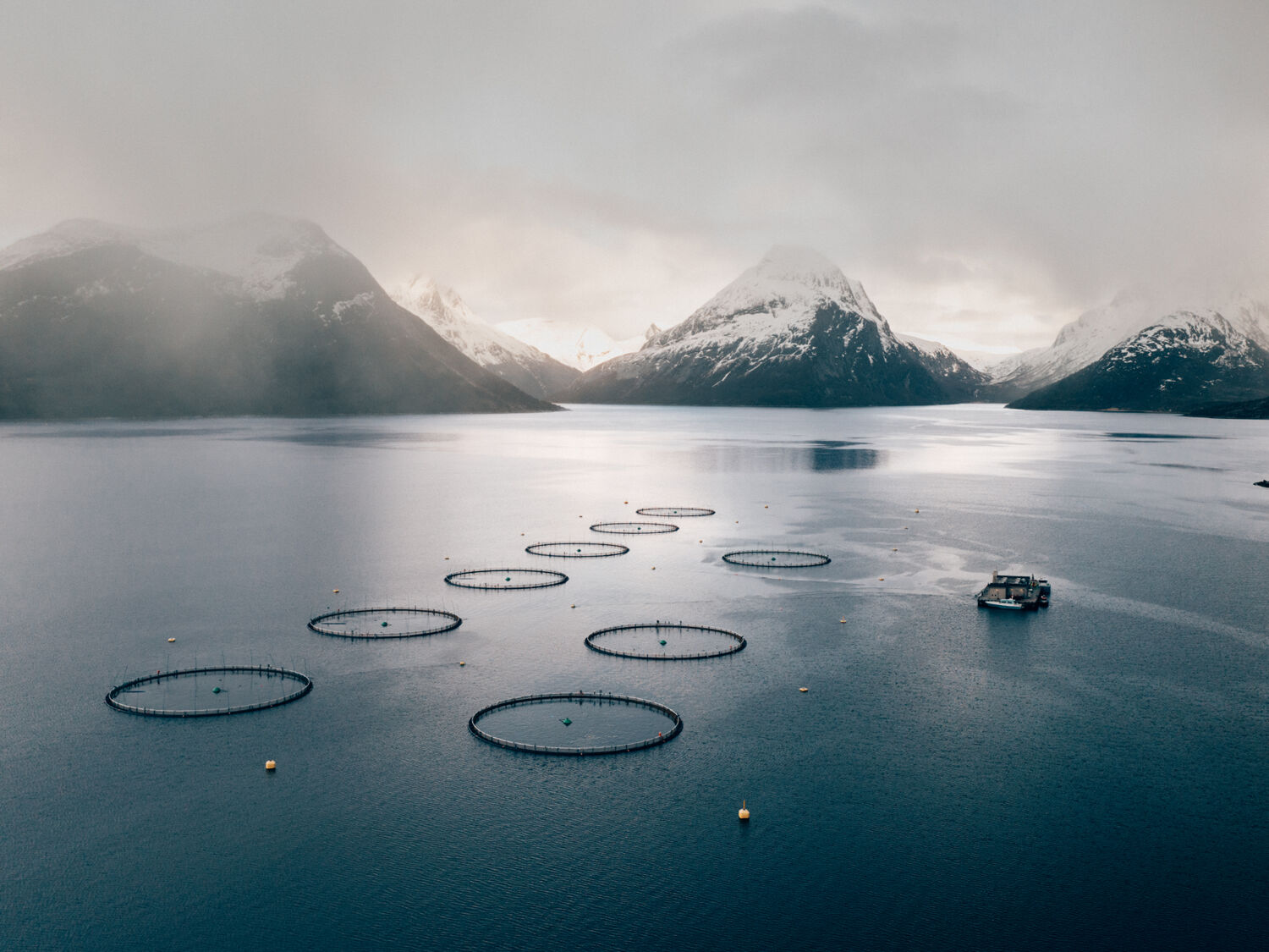 Cermaq True Arctic Hi Res 0990