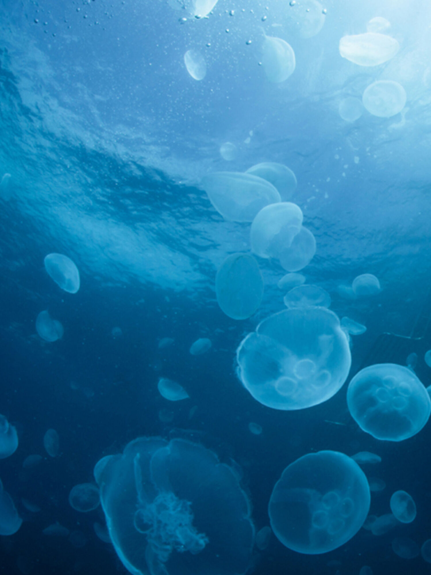 02 Below the surface featured image 1