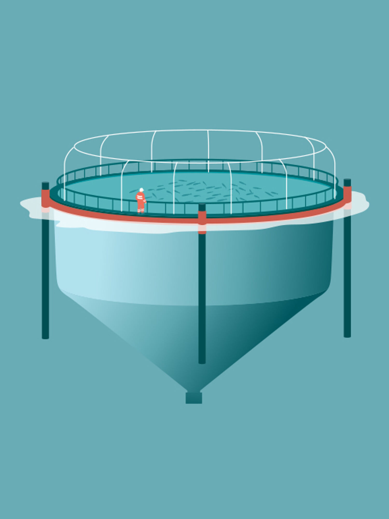 03 Closed cages featured image option 2