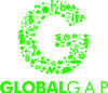 G Logo green