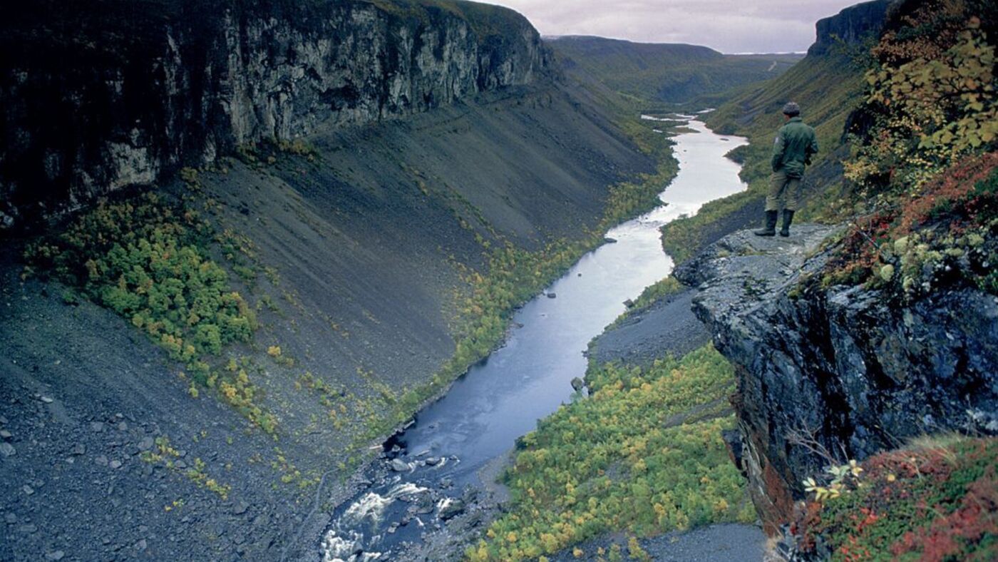 Ingen oppdrettslaks i Altaelva i 2020 Cermaq Norway