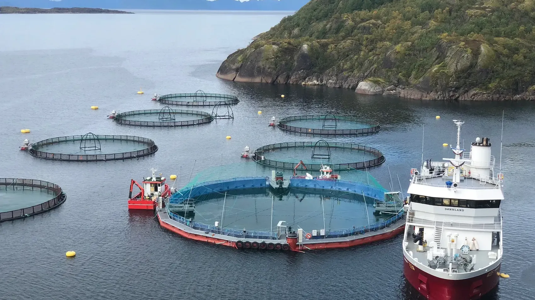 Første utsett av smolt i den nye lukka merden til Cermaq i Horsvågen