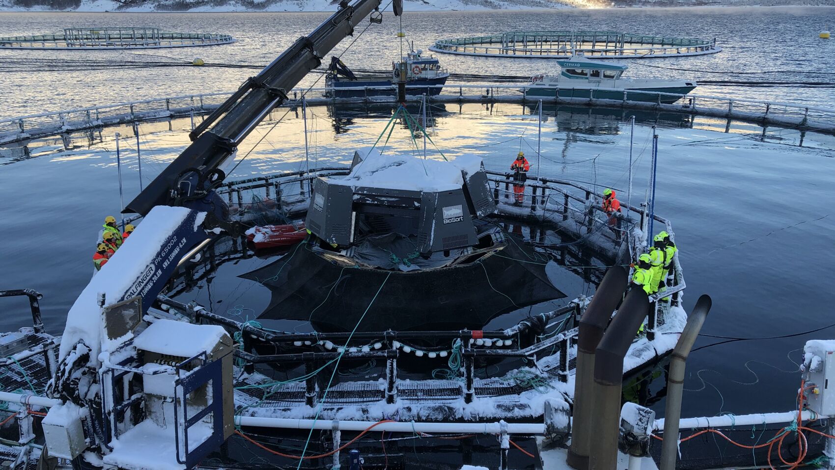 iFarm-sensoren plasseres ut i iFarm-merda i Martnesvika i Steigen