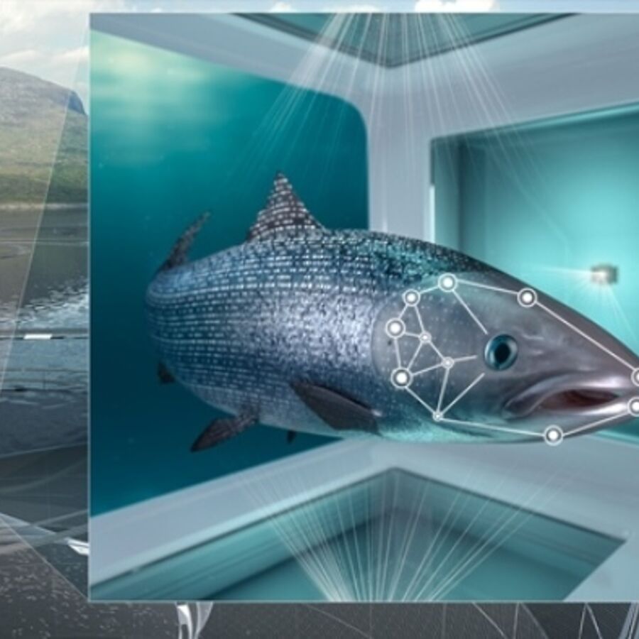 Cermaq og samarbeidspartner BioSort har oppfylt samtlige målekriterier for tildelte utviklingstillatelser for iFarm.