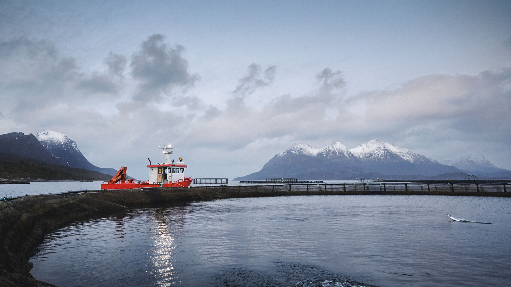 Cermaq bidrar til sporbarhet ved hjelp av blockchain
