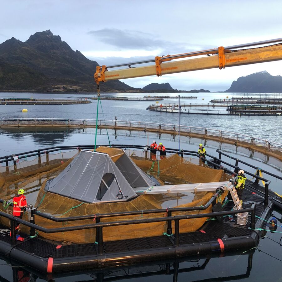 Utsett av iFarm-utstyr på sjø-anlegg i Vesterålen