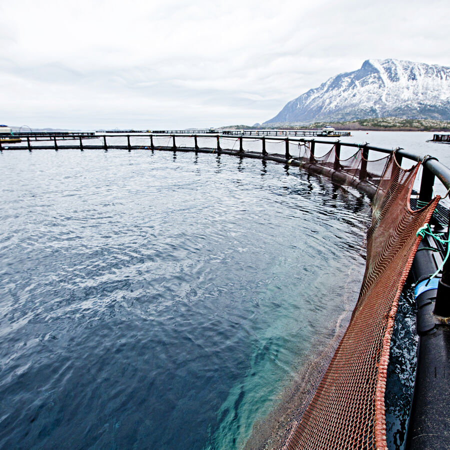 Åpenhet gir bedre løsninger